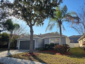 5057 Gandross Ln in Mount Dora, FL - Building Photo - Building Photo