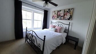 4408 Tuscan Loon Dr in Tampa, FL - Building Photo