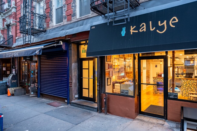 249 Broome St in New York, NY - Foto de edificio - Building Photo