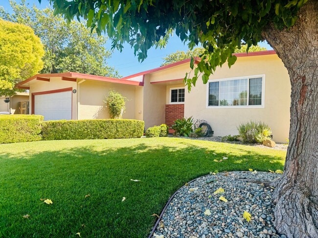 297 Juniper St in Vacaville, CA - Building Photo - Building Photo