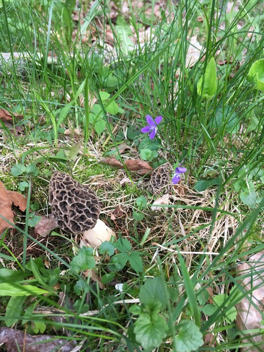 56 London Rd in Westmoreland, NH - Building Photo