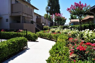 Valley View Apartments