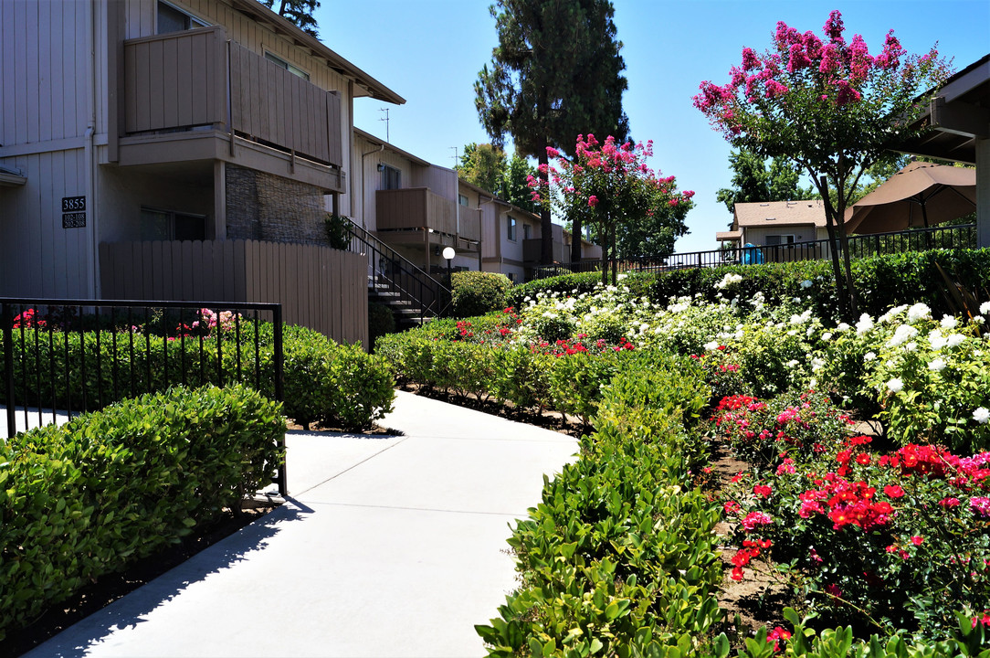 Valley View Apartments in Fresno, CA - Building Photo