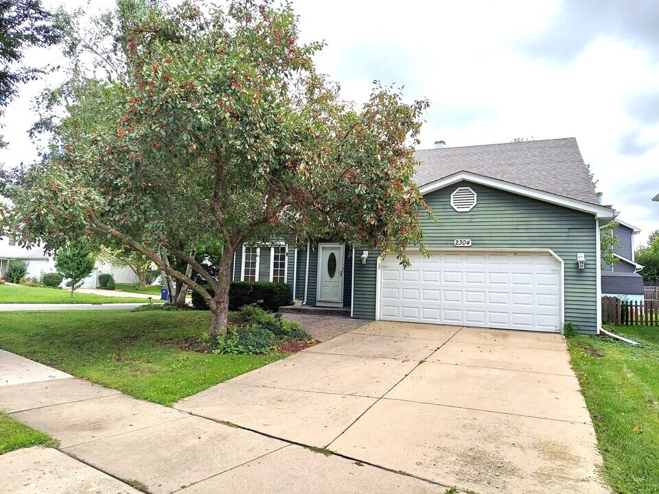 2304 Nottingham Dr in Naperville, IL - Building Photo
