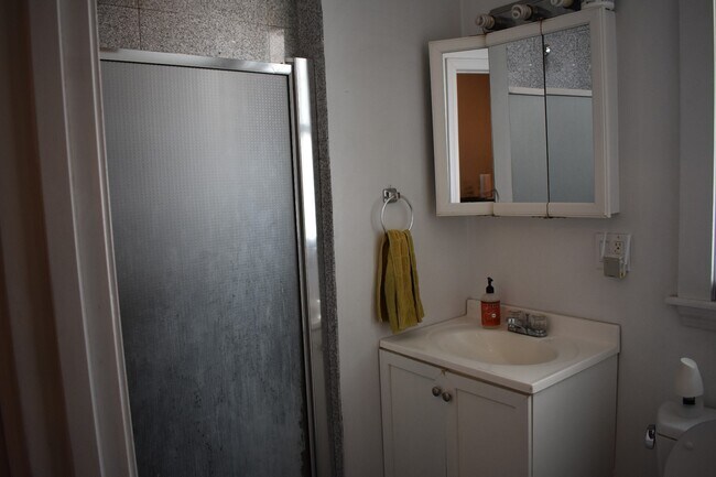 38 Newton St, Unit 1 in Boston, MA - Building Photo - Building Photo