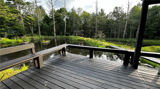 281 Blind Pond Rd in Narrowsburg, NY - Building Photo - Building Photo