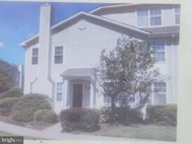 6405 Spruce Mill Dr in Morrisville, PA - Building Photo