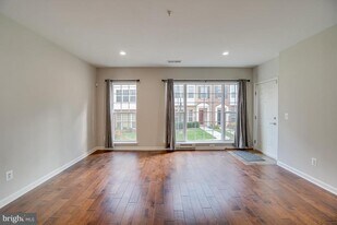 6153 Aster Haven Cir in Haymarket, VA - Building Photo