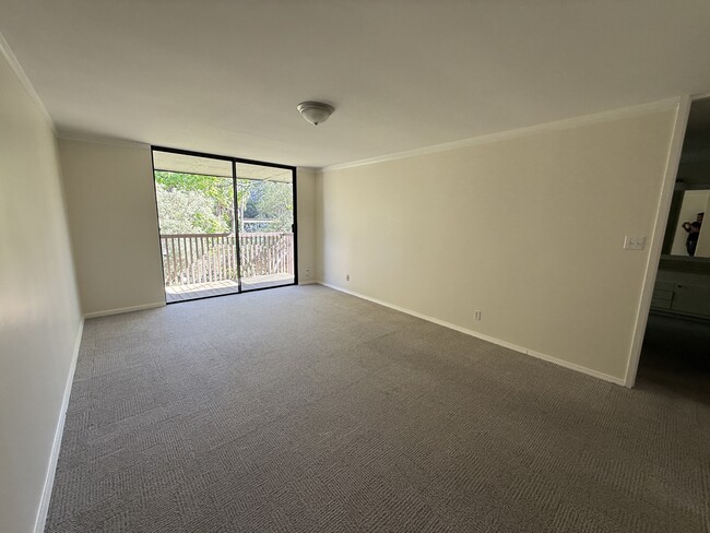 property at 6351 Shelter Creek Ln