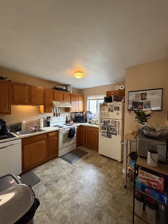 51 The Brook in Amherst, MA - Building Photo - Building Photo