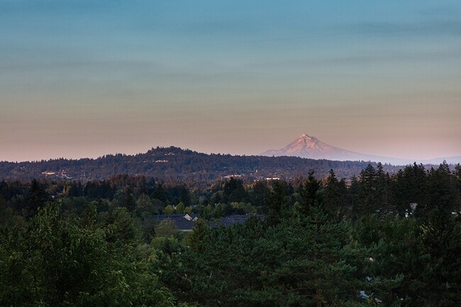 Skyline at Murrayhill