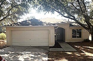 3004 Summer House Dr in Valrico, FL - Building Photo