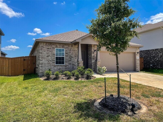 11009 Cathedral Peak Dr in Iowa Colony, TX - Building Photo - Building Photo