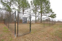 Summer Lodge Apartments photo'