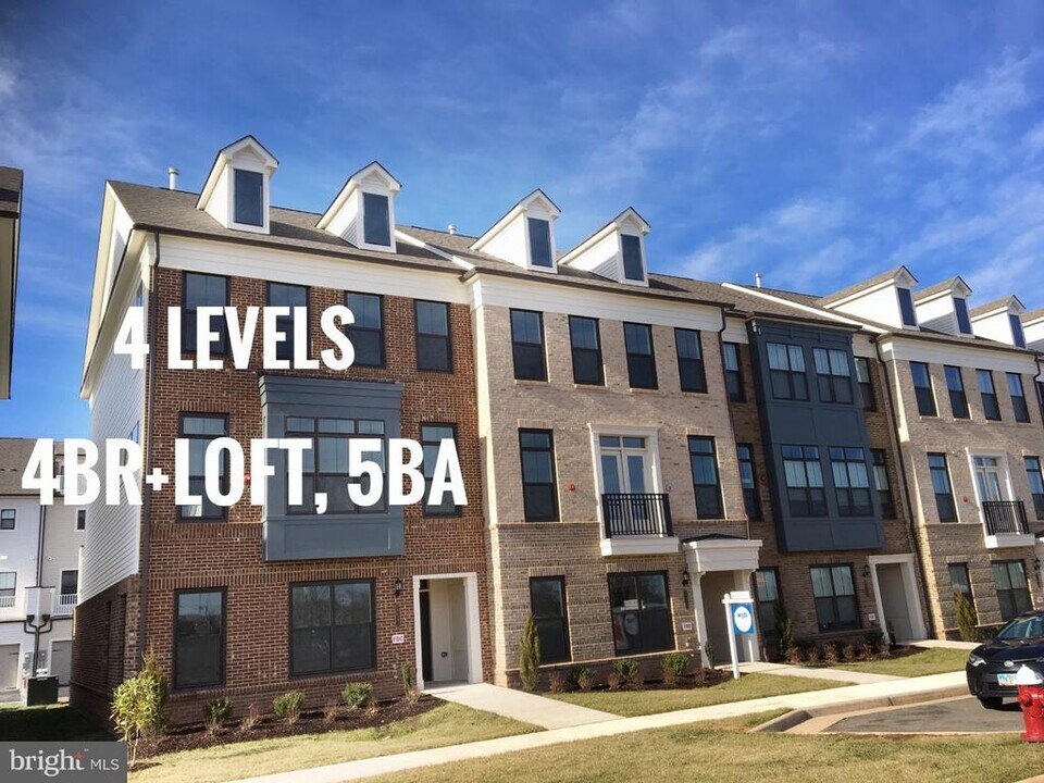 22591 Amendola Terrace in Ashburn, VA - Building Photo