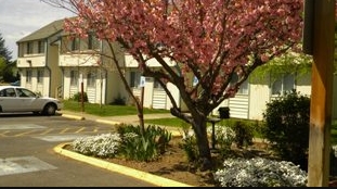 Brightenwood Apartments in Selah, WA - Building Photo