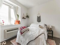 Montgomery Flat - 6
