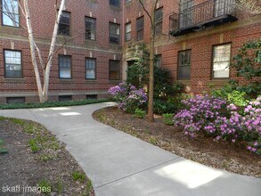 40 Linnaean St, Unit 2 in Cambridge, MA - Building Photo - Building Photo