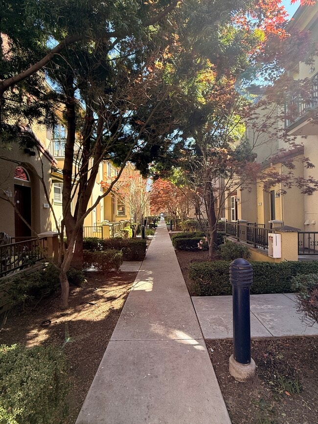 677 Luz del Sol Loop, Unit 677 Luz Del Sol Loop in Milpitas, CA - Foto de edificio - Building Photo