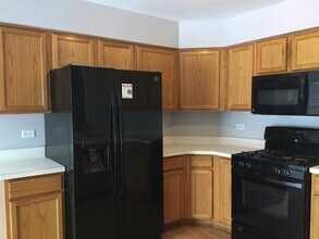 26248 Apple Blossom Ln in Monee, IL - Building Photo - Building Photo