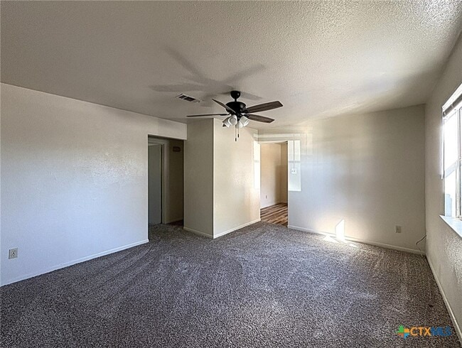 property at 207 Northern Dove Ln