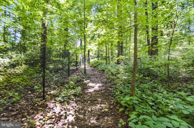 2230 George C Marshall Dr in Falls Church, VA - Building Photo - Building Photo