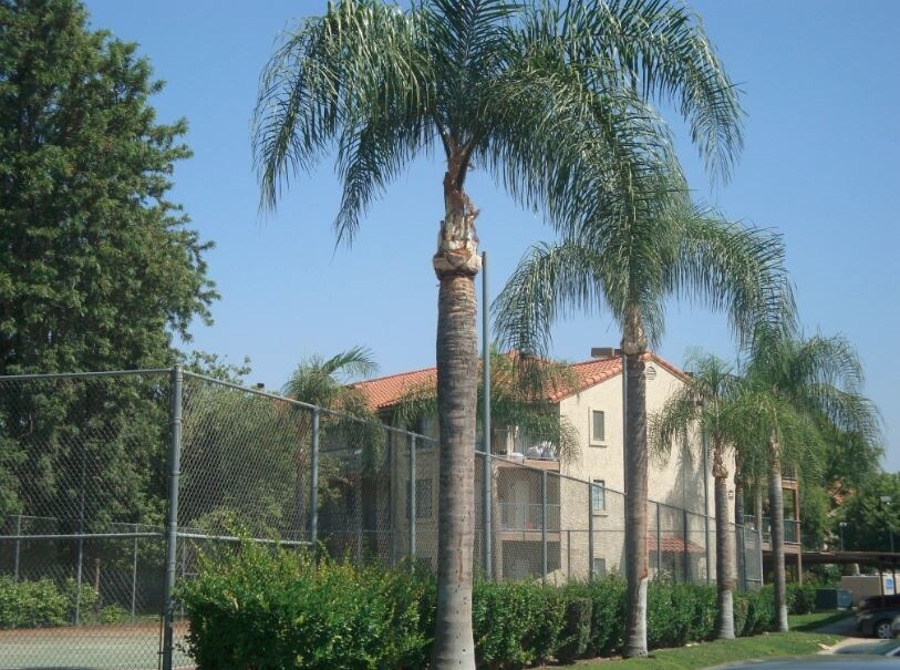 Westcourt Apartments in Colton, CA - Foto de edificio