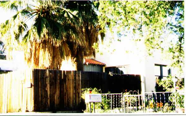 1135 N Plumer Ave in Tucson, AZ - Foto de edificio