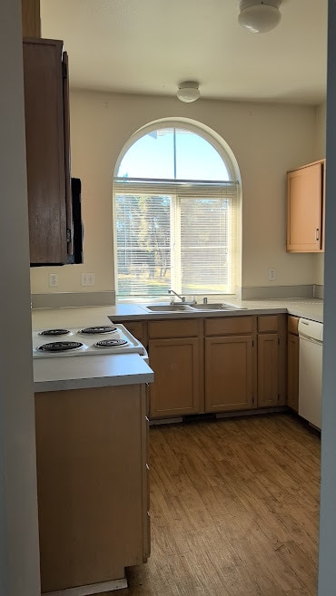 6317 Barstow Ln SE, Unit Unit 8 in Lacey, WA - Building Photo - Building Photo