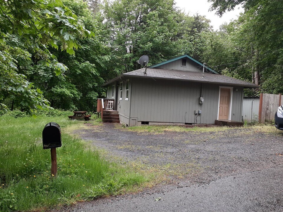 110 E Peyton Pl in Shelton, WA - Building Photo