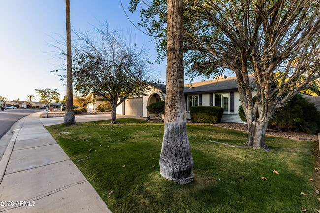 3217 N Ellis St in Chandler, AZ - Building Photo - Building Photo