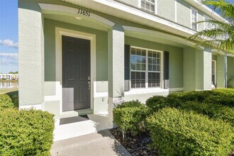 11651 Declaration Dr in Tampa, FL - Building Photo - Building Photo