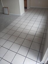 1347 Baywatch Loop-Unit -202 in Tampa, FL - Building Photo - Building Photo