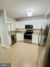 502 Canning House Row in Milton, DE - Building Photo - Building Photo
