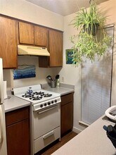 105 E 31st St in Austin, TX - Building Photo - Building Photo