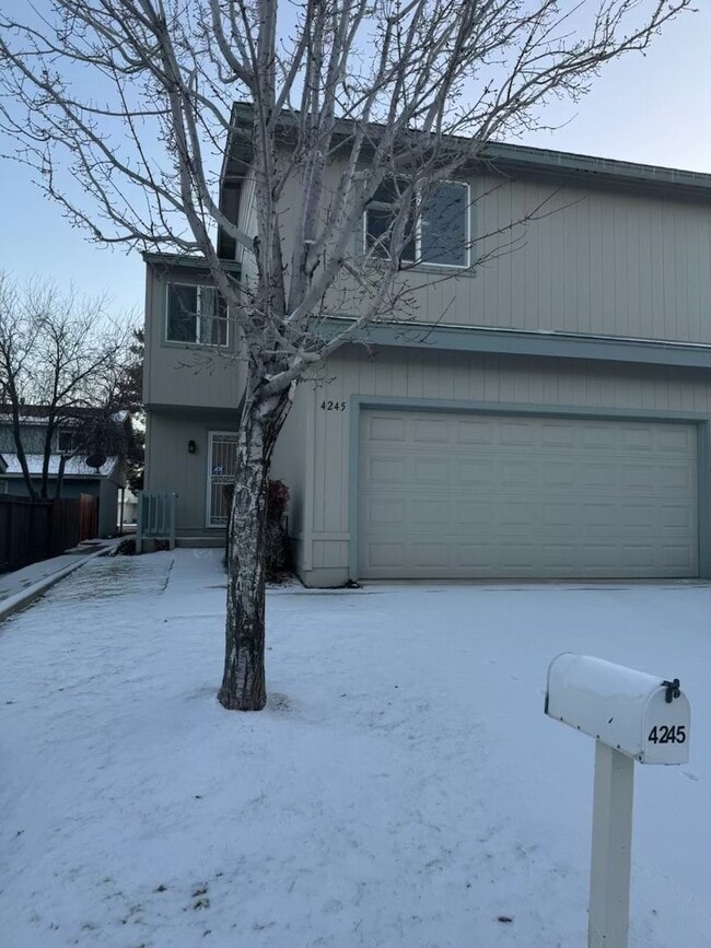 4245 Furgerson Ranch Rd in Carson City, NV - Building Photo - Building Photo