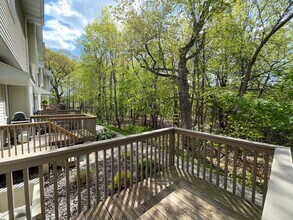 3713 Livingston Ave in Wayzata, MN - Building Photo - Building Photo