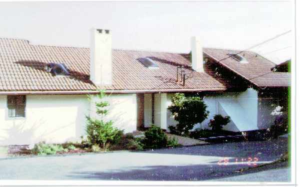 6420 21st Ave NE in Tacoma, WA - Foto de edificio