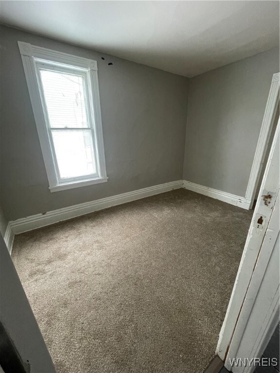 113 Greenwood Pl in Buffalo, NY - Building Photo - Building Photo