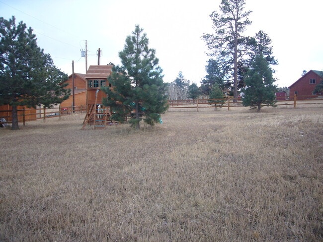 476 Beaver Trail in Bailey, CO - Building Photo - Building Photo