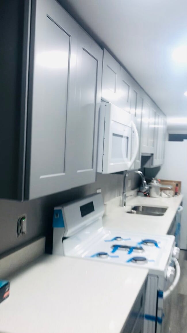 1028 W Oakdale Ave in Chicago, IL - Building Photo - Building Photo