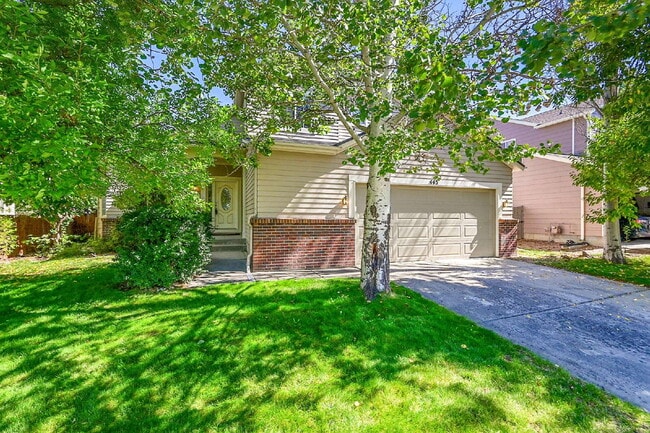 443 Webber Ct in Erie, CO - Building Photo - Building Photo