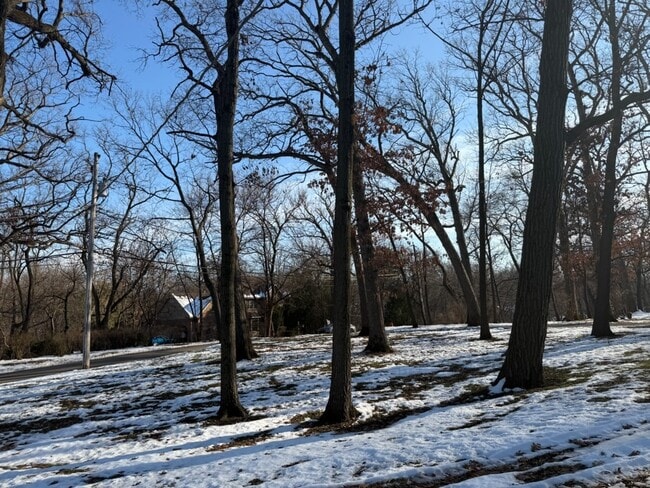 12316 S 82nd Ave in Palos Park, IL - Building Photo - Building Photo