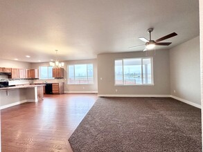 2260 Graceful St in Windsor, CO - Building Photo - Building Photo