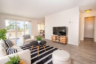 1855 Diamond St in San Diego, CA - Building Photo