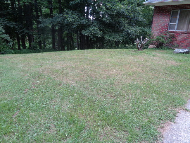1951 Howard's Creek Rd in Boone, NC - Building Photo - Building Photo