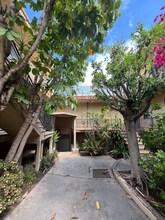 2637 S Centinela Ave in Santa Monica, CA - Building Photo - Building Photo
