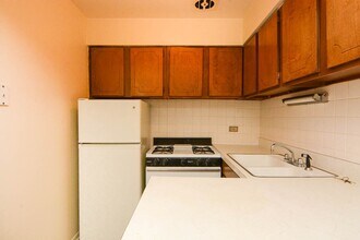 443 W Aldine Ave, Unit 804 in Chicago, IL - Building Photo - Building Photo