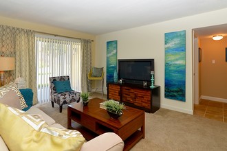 Alta Mar at Broadwater Apartments in St. Petersburg, FL - Foto de edificio - Building Photo