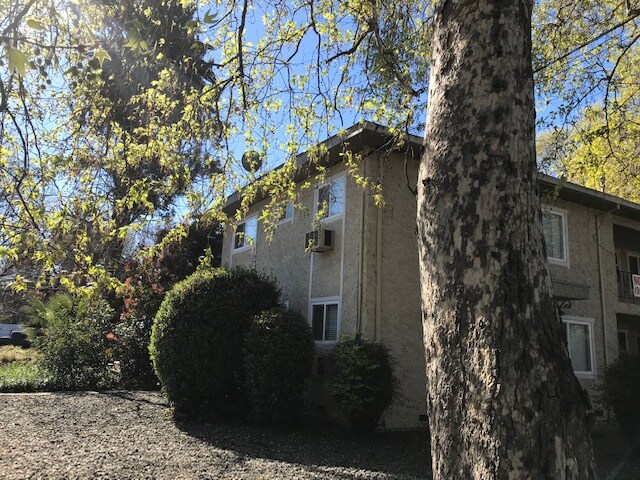1311 W 3rd St-Unit -6 in Chico, CA - Building Photo - Building Photo